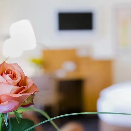 Hotel Moehringer Hof 3*