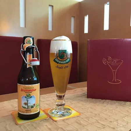 Hotel Moehringer Hof 3*