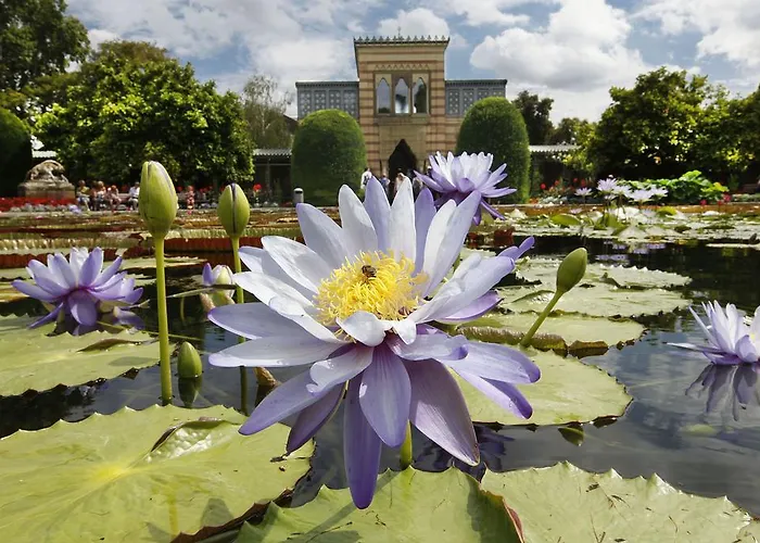 Moehringer Hof Otel 3*