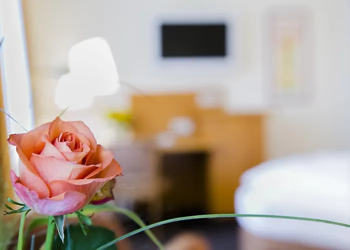 Otel Moehringer Hof 3*