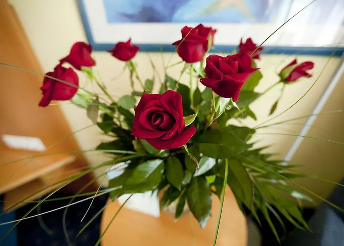 Moehringer Hof 3* שטוטגרט