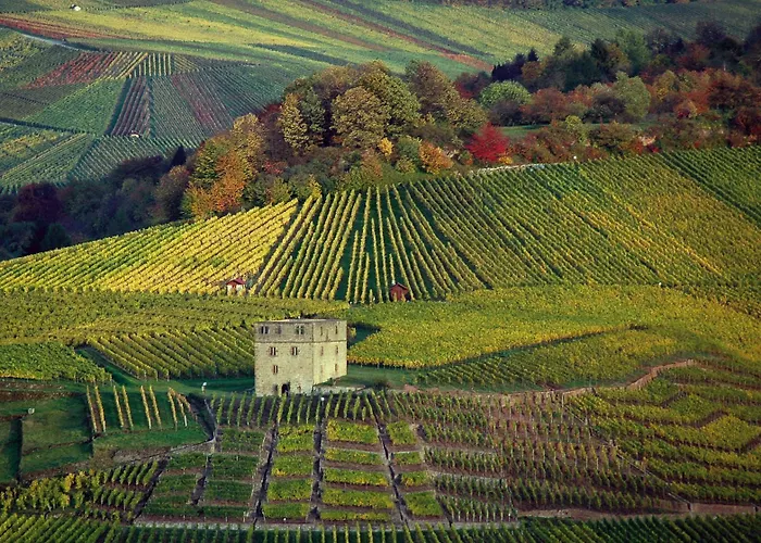 Moehringer Hof 3* שטוטגרט